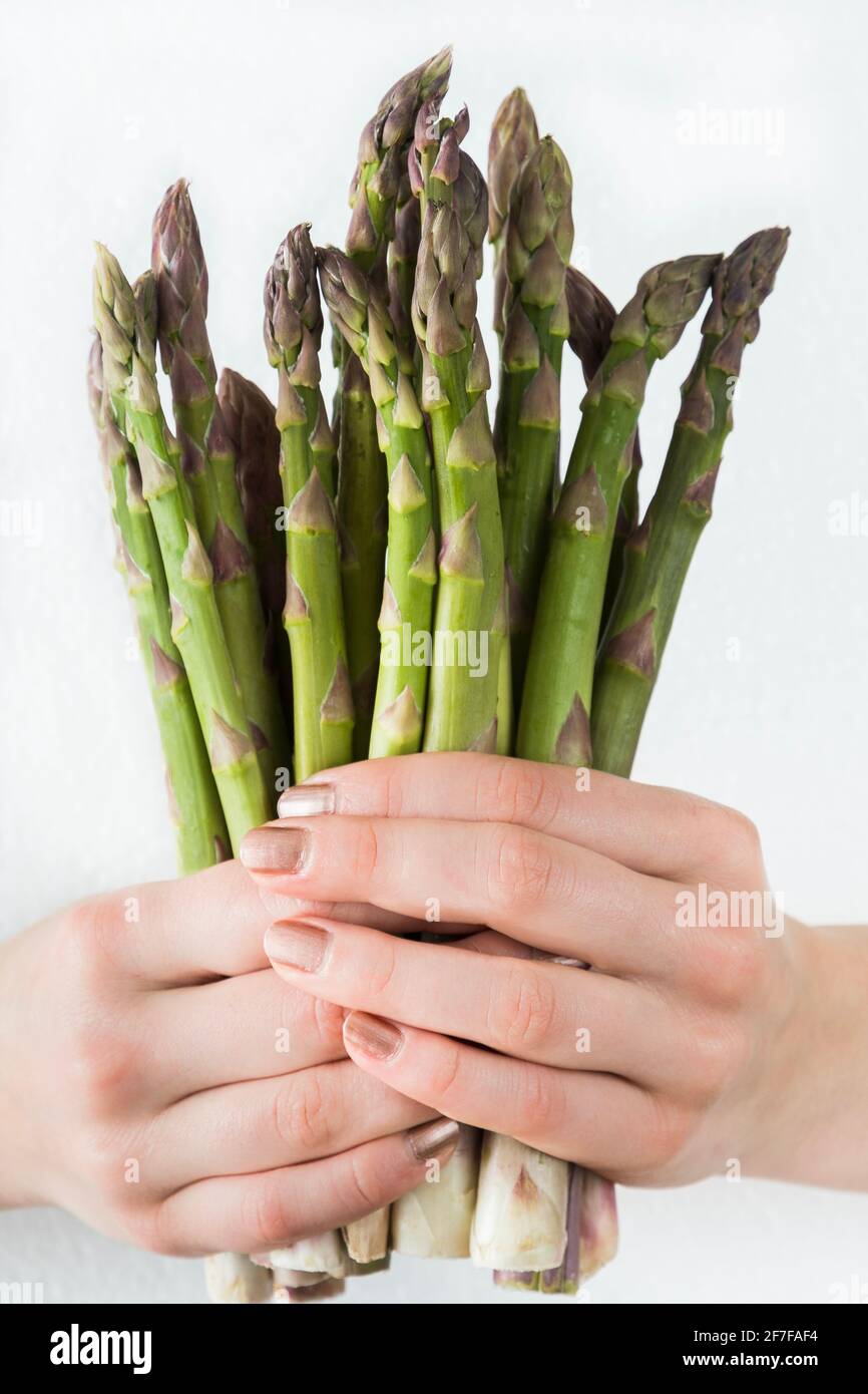 Donna che tiene in mano un fascio di asparagi verdi, dita con smalto oro rosa, fondo bianco. Foto Stock