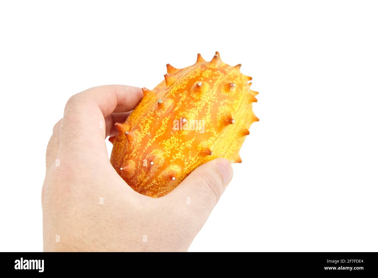 Kiwano melone frutta o Horned Melon isolato su sfondo bianco. Un singolo cetriolo africano cornuto in mano maschile Foto Stock