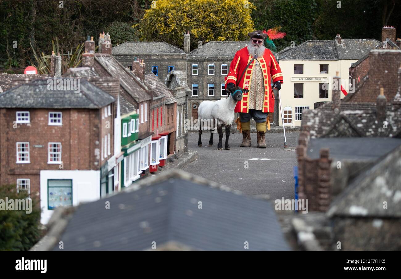 Chris Brown, il Town Crier e il Serjant del Sindaco di Wimborne Minster, a Dorset, esercita il suo diritto di onorario Freeman di guidare pecore attraverso Wimborne senza spese, anche se attraverso la Wimborne Model Town, per annunciare la loro riapertura il 12 aprile dopo l'allentamento delle restrizioni di blocco. Data immagine: Mercoledì 7 aprile 2021. Foto Stock