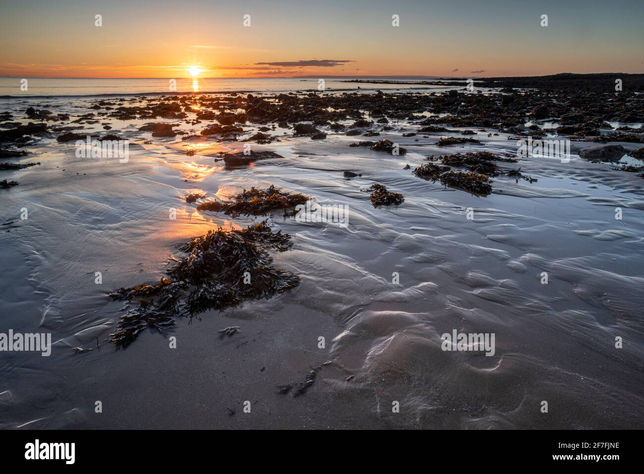 Piscine e rocce a bassa marea, alba, Port Eynon Bay, Penisola di Gower, Swansea, Galles, Regno Unito, Europa Foto Stock