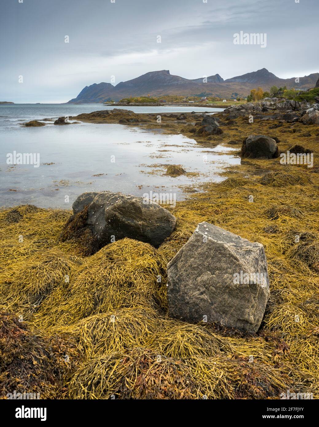 Costa a bassa marea, Senja occidentale, Norvegia, Scandinavia, Europa Foto Stock