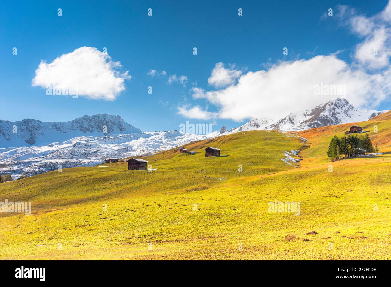 Capanne tradizionali nel pascolo in autunno, Arosa, Canton Graubunden, Svizzera, Europa Foto Stock