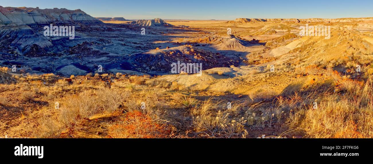 Panorama della prima Foresta nel Parco Nazionale della Foresta pietrificata, Arizona, Stati Uniti d'America, Nord America Foto Stock