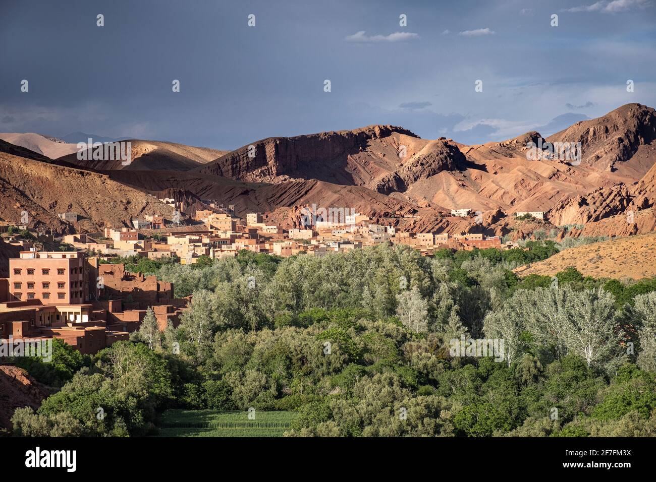 Villaggio in un'oasi verde e bella luce sulle montagne sullo sfondo, Marocco, Africa del Nord, Africa Foto Stock