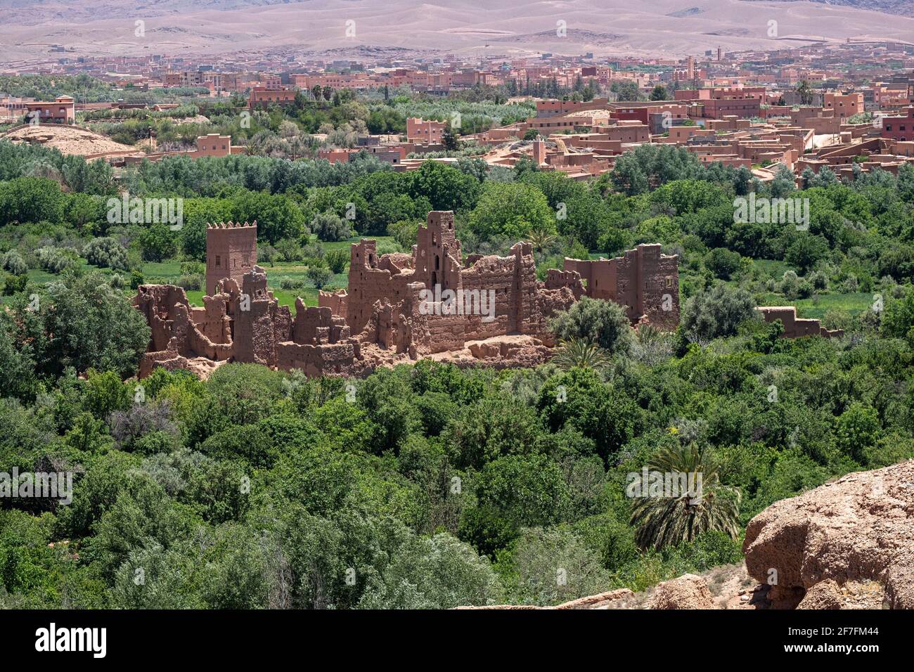 Rovine di un vecchio palazzo nel mezzo di un'oasi di palme, Marocco, Africa del Nord, Africa Foto Stock