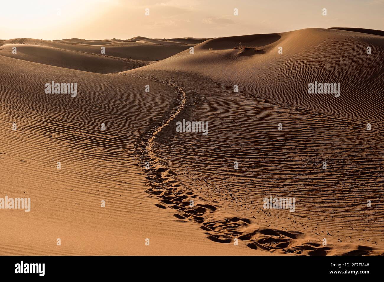 Sentieri tra le dune di sabbia del deserto del Sahara, Merzouga, Marocco, Africa del Nord, Africa Foto Stock