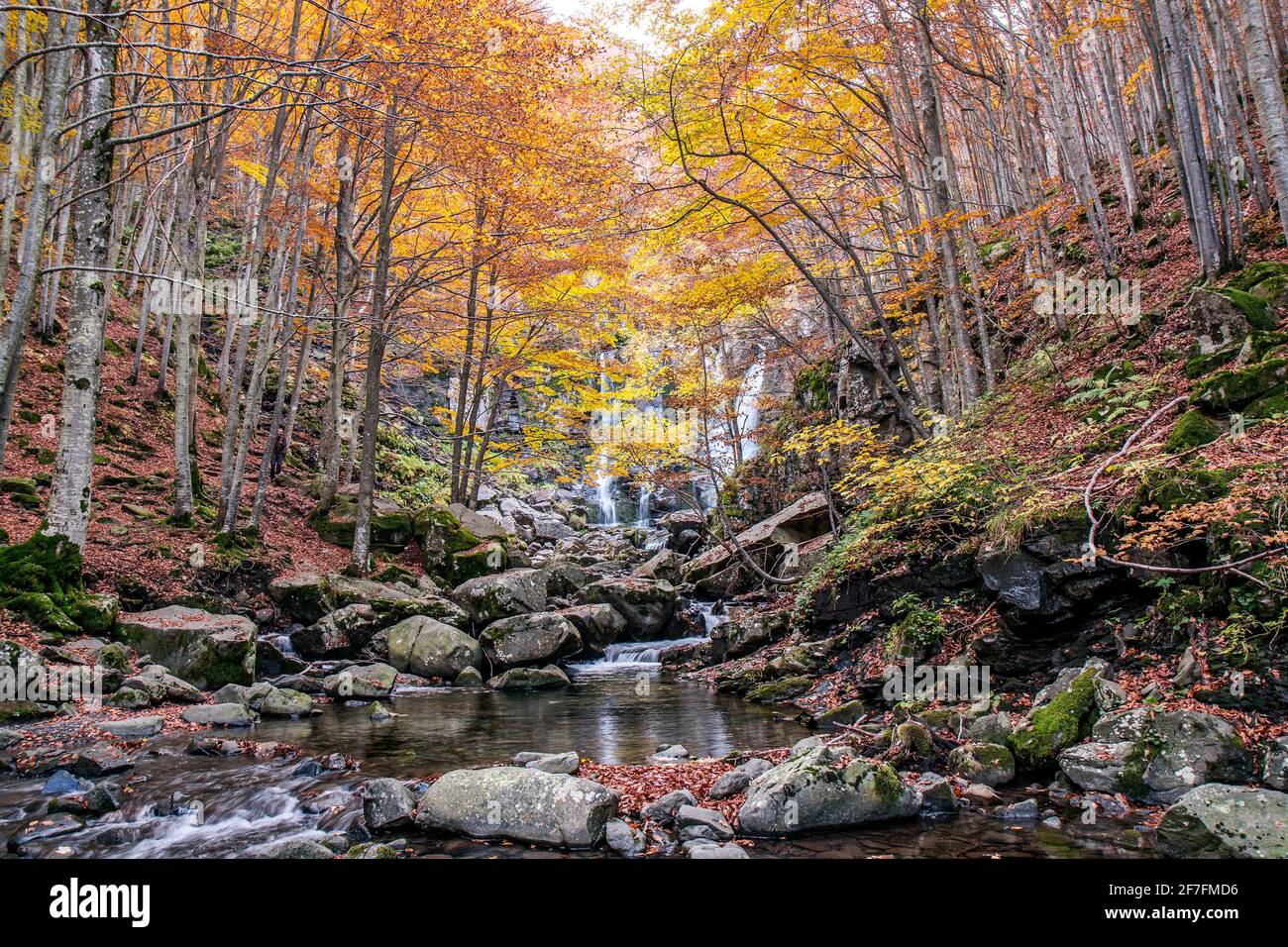 Boschi autunnali e cascata sullo sfondo, Cascate di Dardagna, Parco Regionale del Corno alle Scale, Emilia Romagna, Italia, Europa Foto Stock