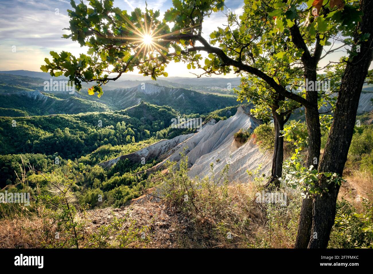 Badlands e verdi colline incorniciate da alberi e da un'esplosione di sole, Emilia Romagna, Italia, Europa Foto Stock
