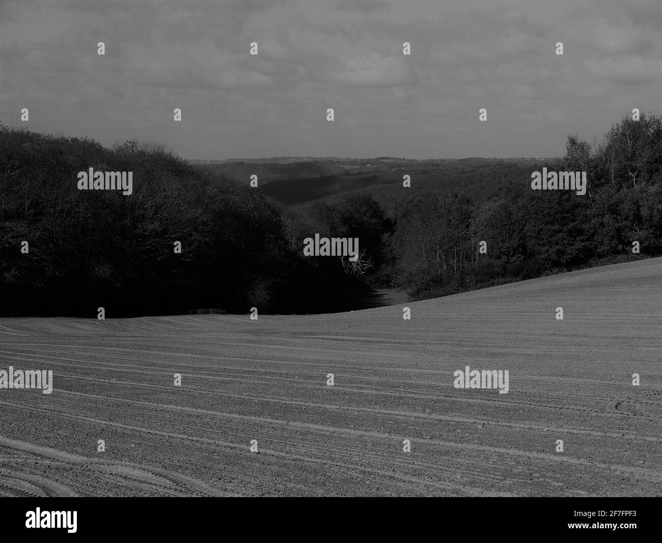 Immagine in bianco e nero della campagna francese. Foto Stock