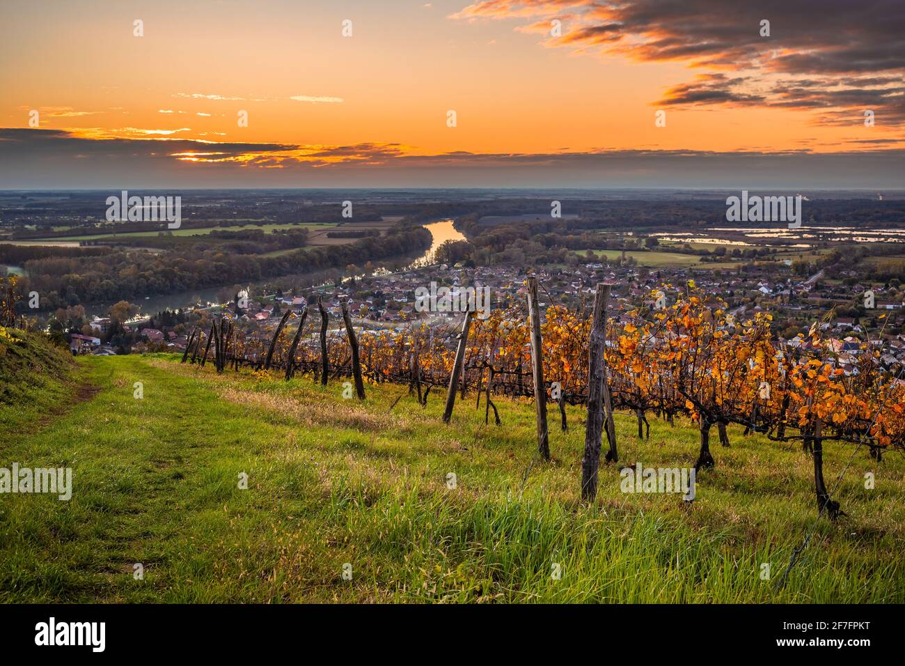 Tokaj, Ungheria - i vigneti ungheresi di fama mondiale della regione vinicola Tokaj con una bella erba verde e un cielo colorato all'alba su un caldo, gol Foto Stock