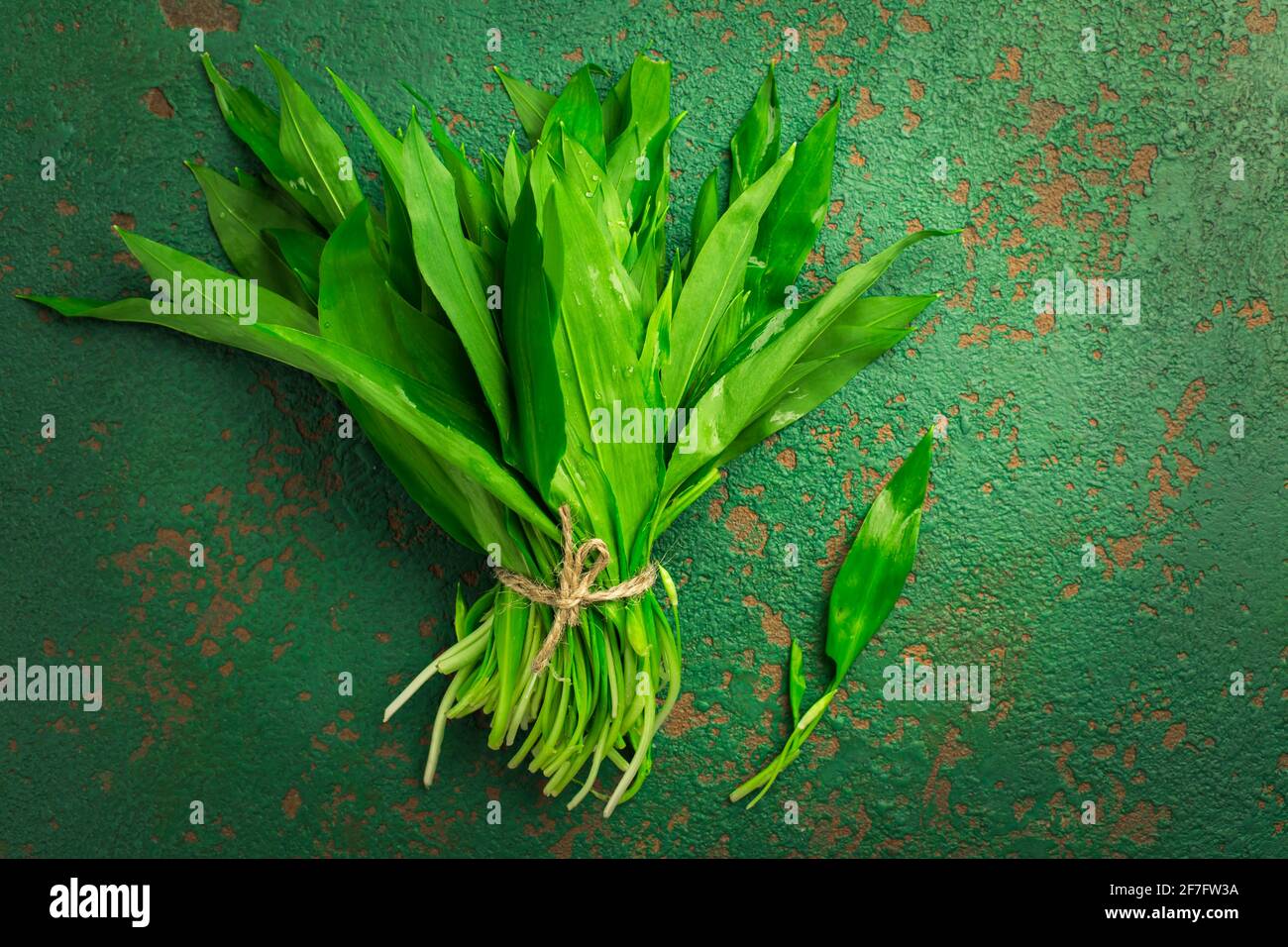 Mazzo di ramson o porro di orso (Allium ursinum) su tavolo da cucina. Foto Stock
