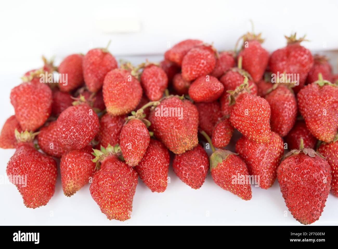 Un sacco di fragole e un albicocca gialla con foglia verde giacciono su un davanzale bianco. Vista dall'alto Foto Stock