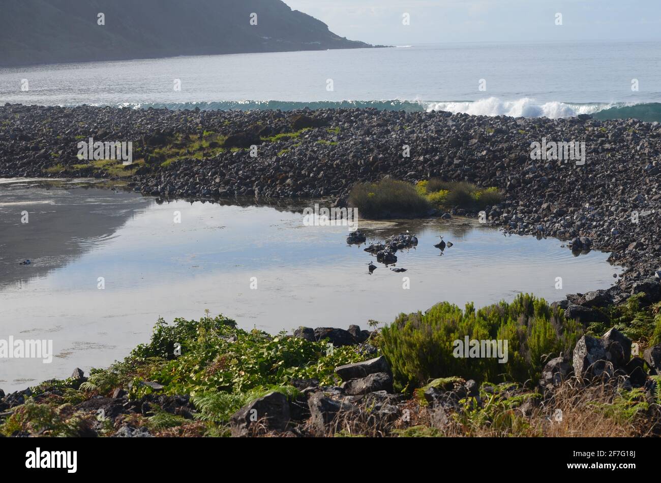 Laguna costiera di Faja dos Cubres nella Riserva della Biosfera di Sao Jorge, arcipelago delle Azzorre Foto Stock