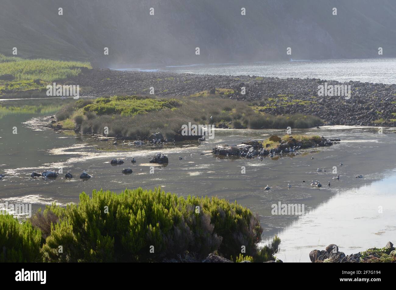 Laguna costiera di Faja dos Cubres nella Riserva della Biosfera di Sao Jorge, arcipelago delle Azzorre Foto Stock