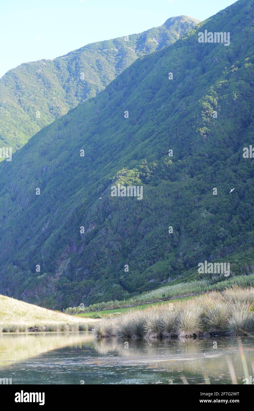 Laguna costiera di Faja dos Cubres nella Riserva della Biosfera di Sao Jorge, arcipelago delle Azzorre Foto Stock