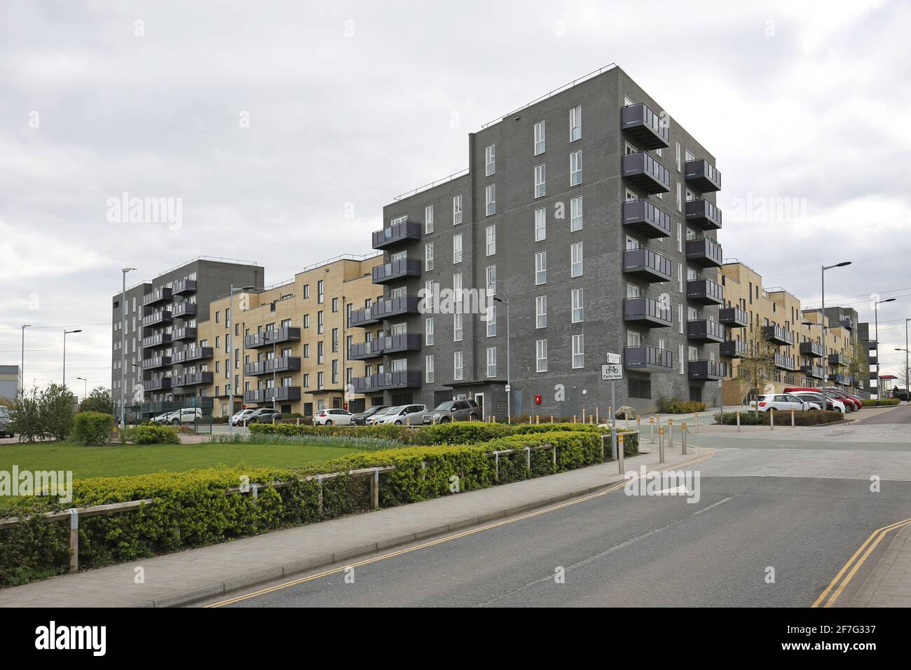Nuovi isolati di appartamenti su Mallards Road, parte del nuovo e enorme Barking Riverside Development nella periferia orientale di Londra, Regno Unito Foto Stock