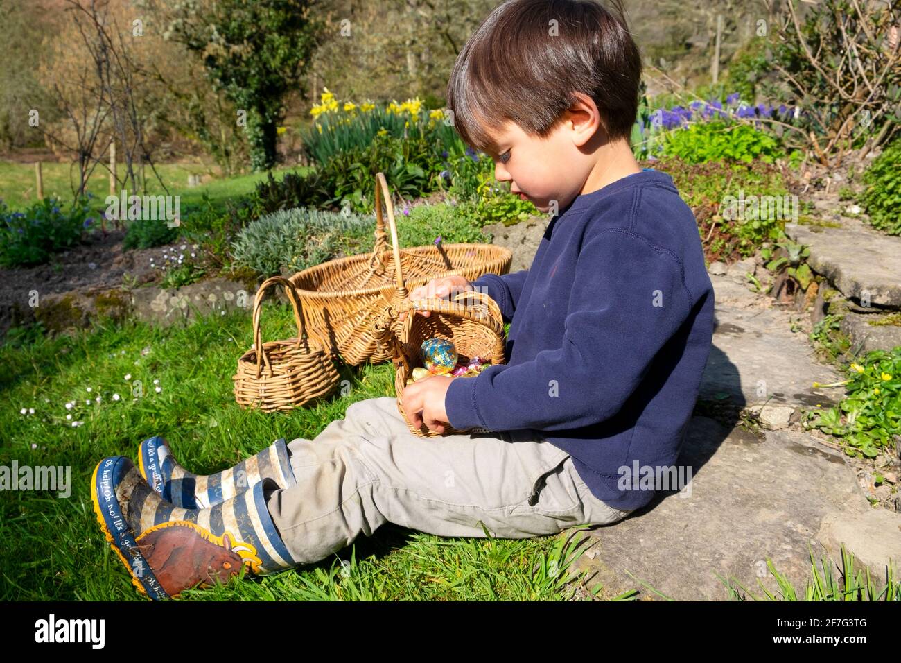 Bambino giovane ragazzo seduto in giardino dopo la caccia alle uova di Pasqua guardando giù al cestino di uova di Pasqua di cioccolato in Galles Gran Bretagna. KATHY DEWITT Foto Stock