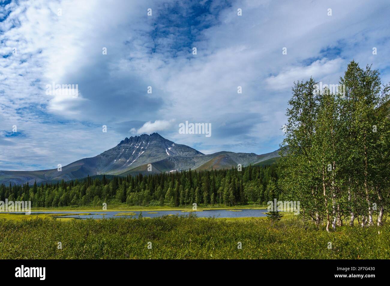 La cima di Manaraga nelle montagne di Ural del nord, Repubblica di Komi, Russia. Paesaggio Foto Stock