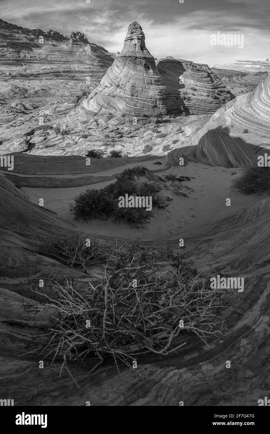 L'onda una formazione rocciosa geologica stupefacente nel nord Coyote Buttes Foto Stock