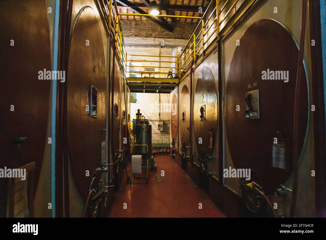 Morro d'Alba, Italia - Settembre 10 2018: L'Antica Cantina Sant amico - una delle più antiche cantine vinicole delle Marche. Moderna cantina con Foto Stock