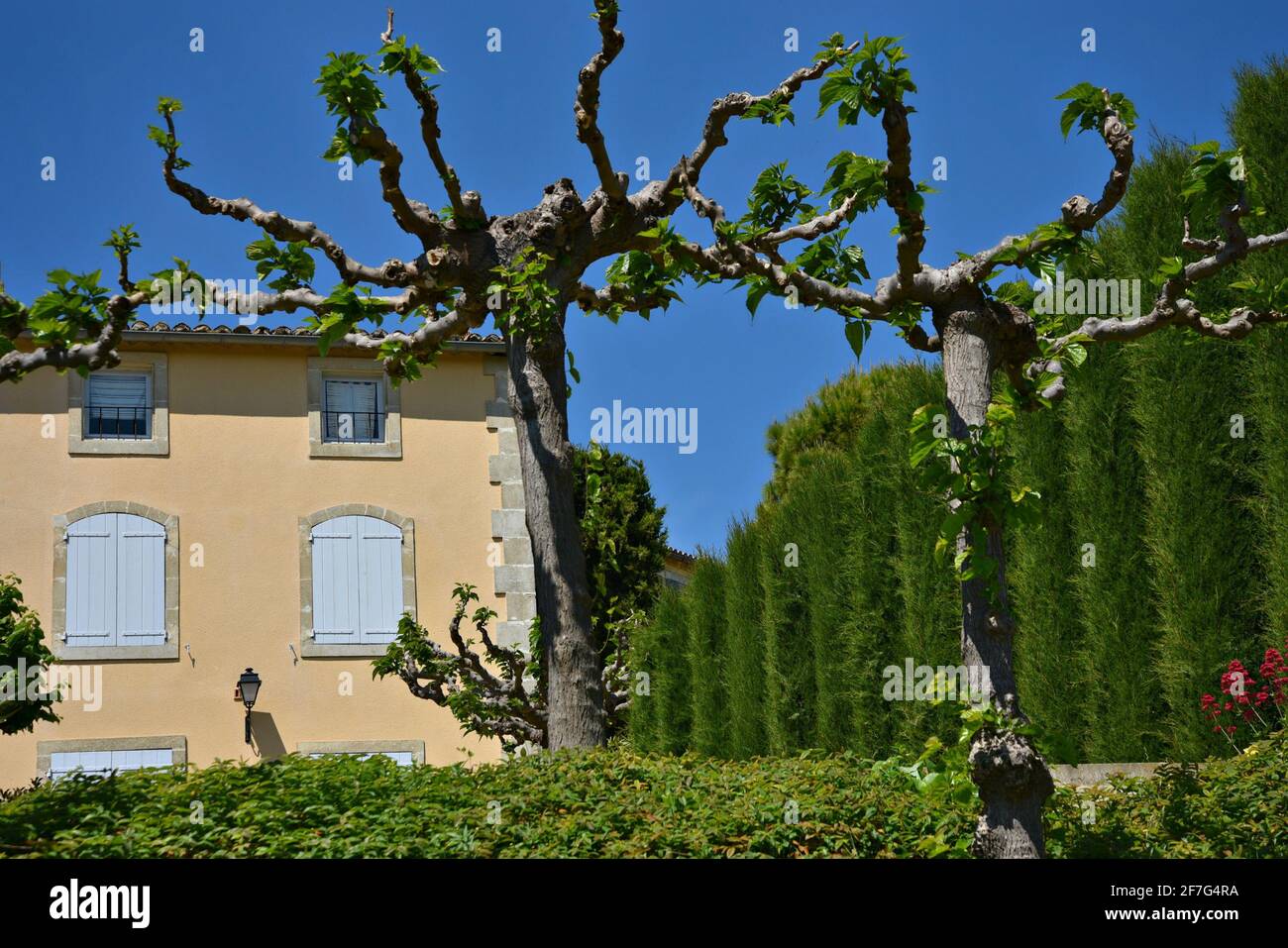 Paesaggio con una tenuta in stile Provençal e giardini nel villaggio storico di Ménerbes, Provenza-Alpi-Côte Azzurra Vaucluse, Francia. Foto Stock