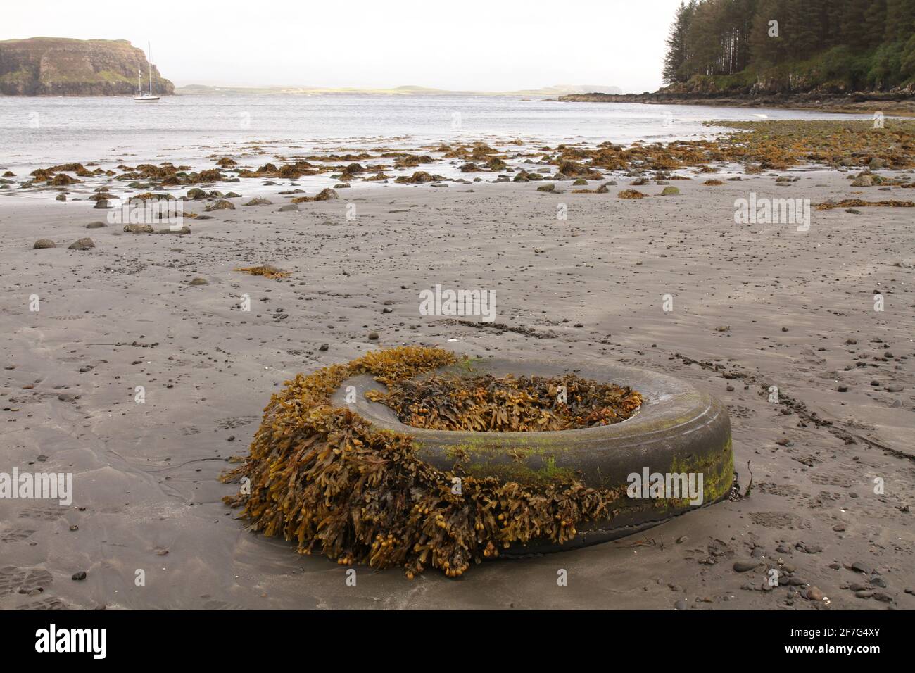 Gli pneumatici auto lavati, coperti da alghe Fucus, si trovano su una spiaggia remota sull'Isola di Skye, Scozia Regno Unito. Foto Stock