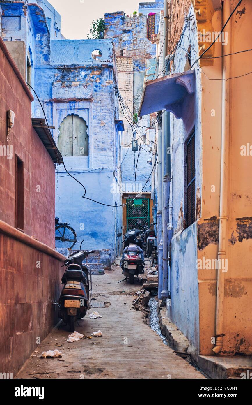 Case blu nelle strade di Jodhpur Foto Stock
