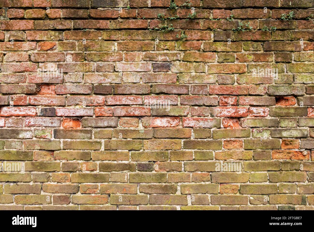 Weated e indossato multicolore Brick muro sfondo varietà di mattoni muro di mattoni fatto con vecchi mattoni rigenerati Foto Stock