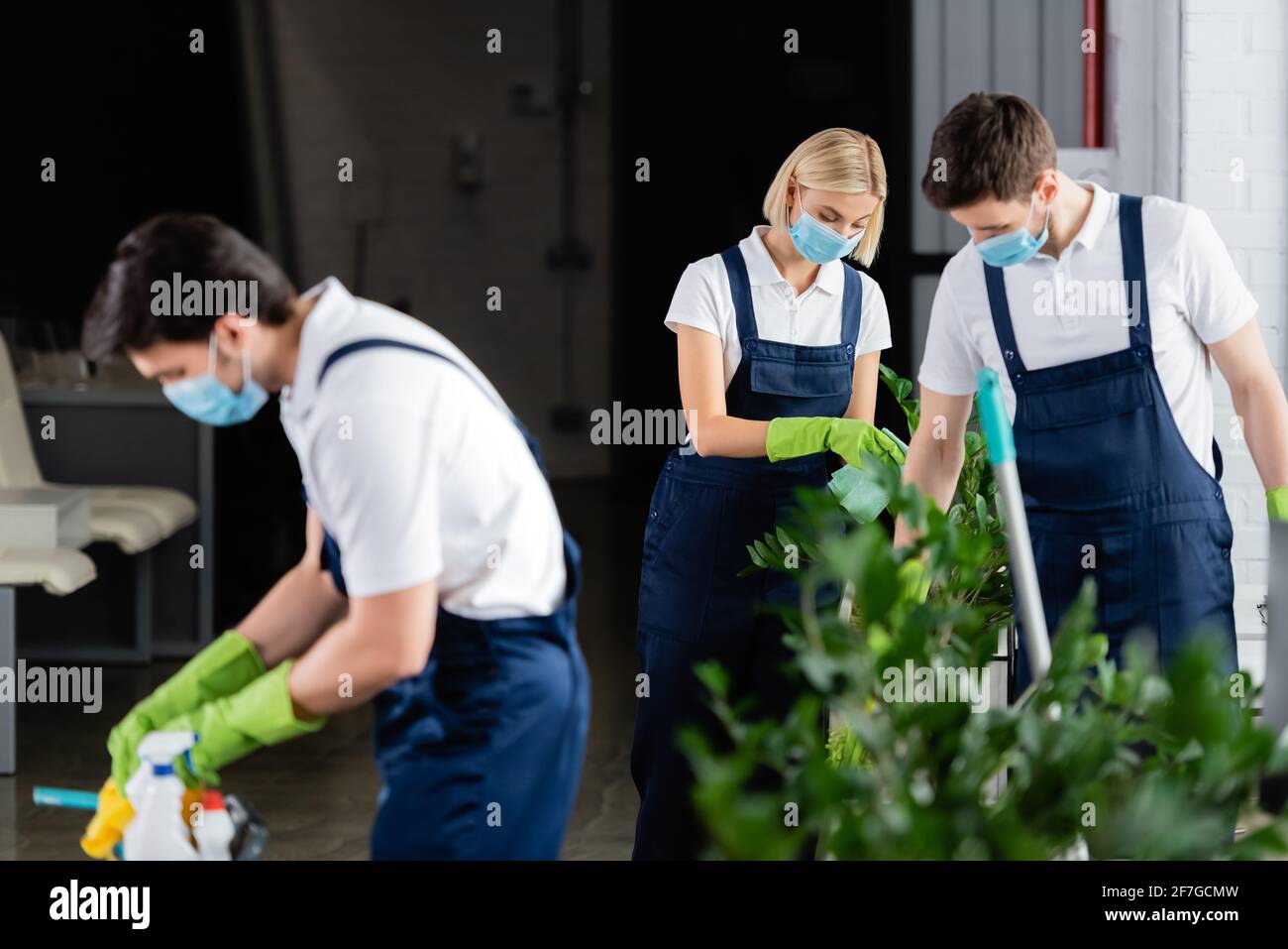 Lavoratori di società di pulizia in maschere mediche che lavorano in ufficio Foto Stock