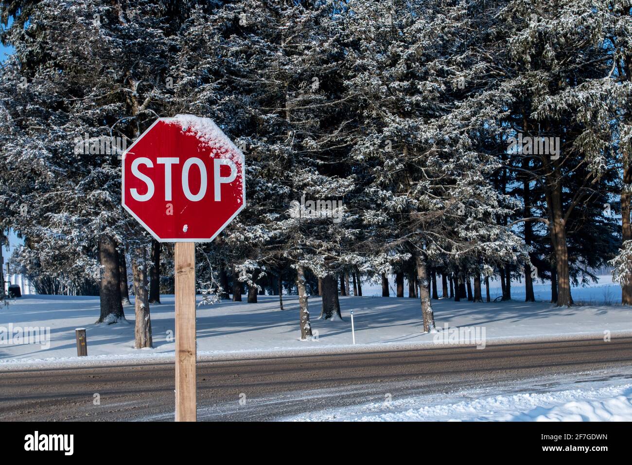 Vista di un segnale di stop dall'interno di un'auto in una giornata invernale fredda e esplosiva nell'Ontario sudoccidentale, Canada. Foto Stock