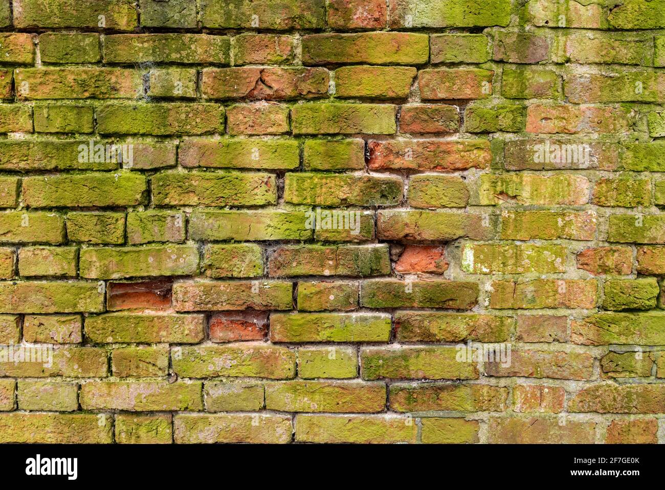Multicolore Brick muro sfondo varietà di mattoni muro fatto con vecchi mattoni rigenerati in un modello regolare Foto Stock