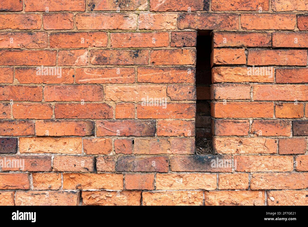 Multicolore Brick muro sfondo varietà di mattoni muro fatto con vecchi mattoni rigenerati in un modello regolare Foto Stock