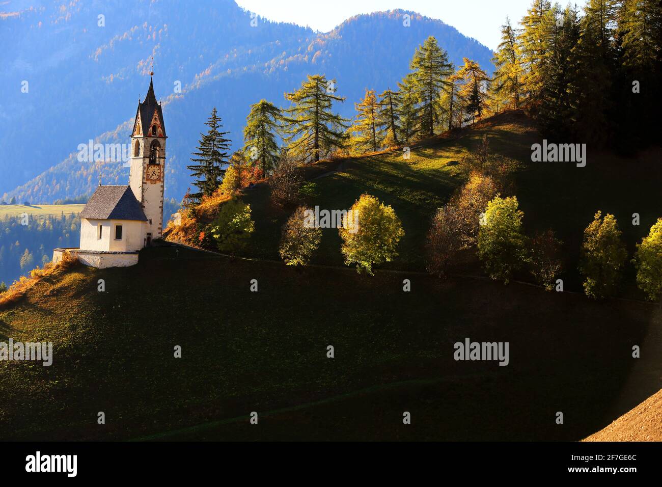 Dolomiti, Dolomiti, Südtirol, Italien, herbstliche Bäume auf dem Weg zur Kirche Santa Barbara a Südtirol in den Dolomiten Foto Stock