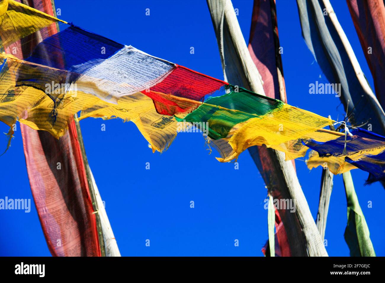 Bandiere di preghiera nell'Himalaya, regno del Bhutan Asia cielo blu flutter nel vento tessuto colorato materiale Foto Stock