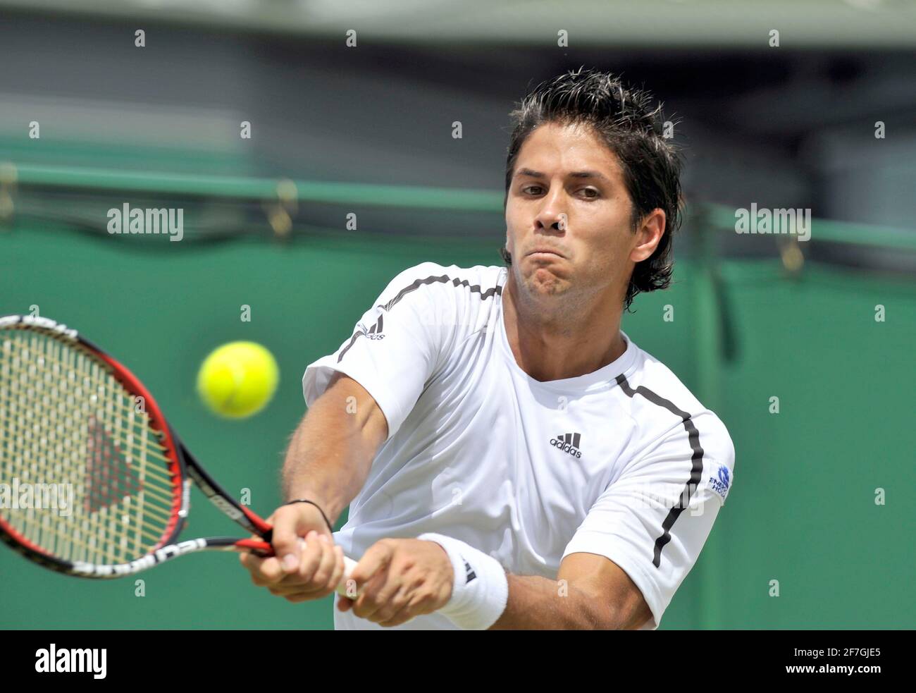 WIMBLEDON CAMPIONATI DI TENNIS 2008. 7° GIORNO 30/6/2008 F.VERDASCO DURANTE LA SUA PARTITA CON M.ANCIC. IMMAGINE DAVID ASHDOWN Foto Stock