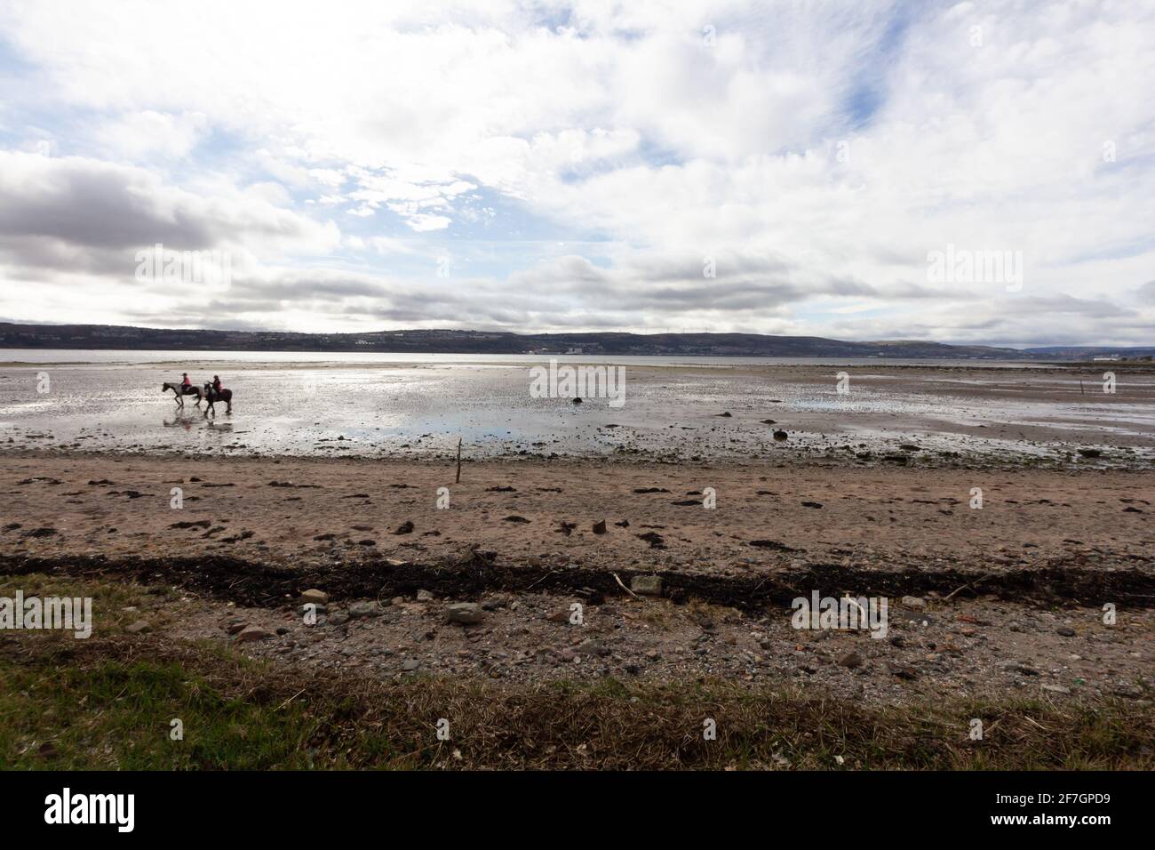 Equitazione su una spiaggia scozzese Foto Stock