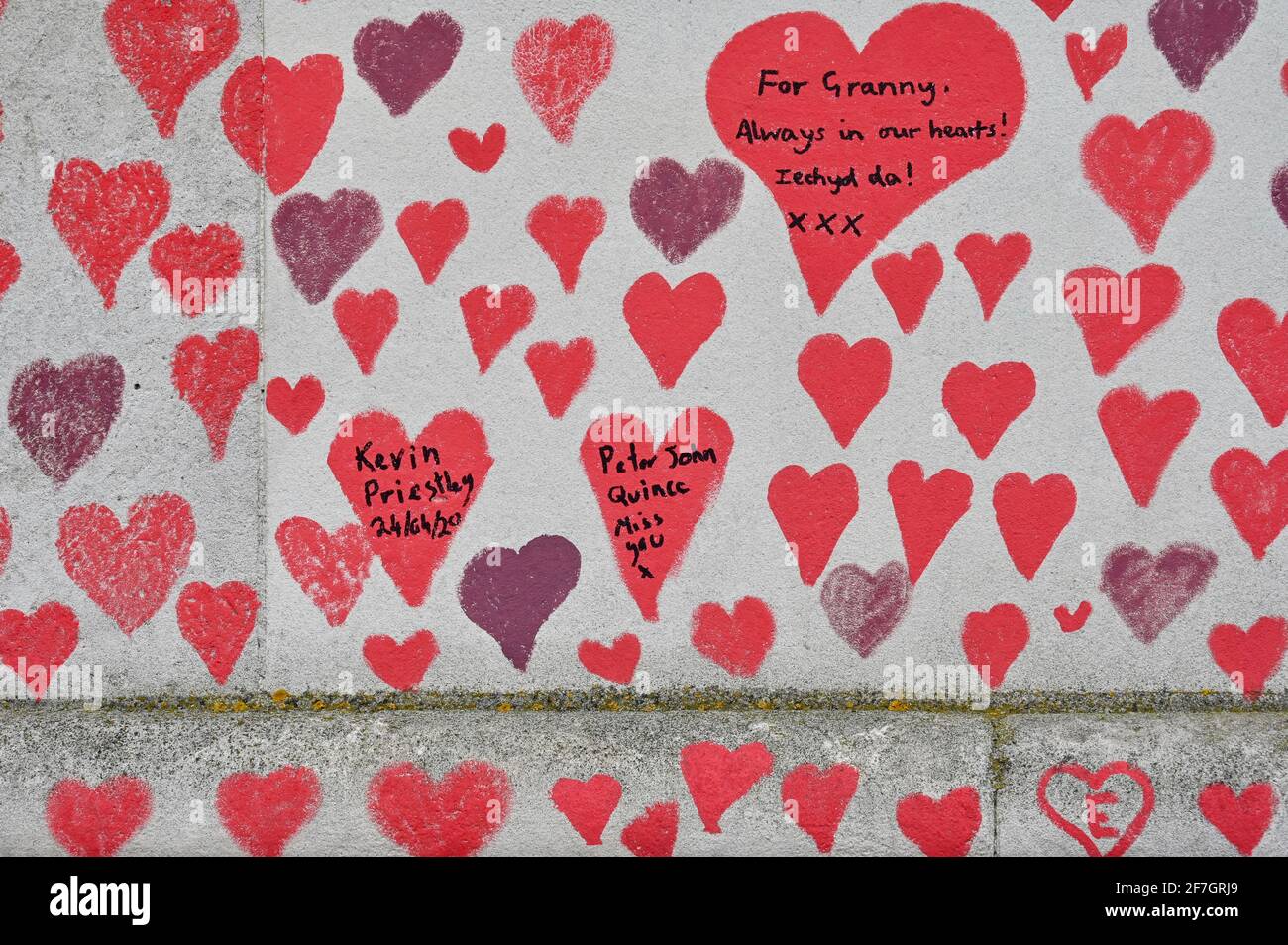 National Covid Memorial Wall, circa 130,000 cuori sono stati dipinti su una sezione di un chilometro di muro di fronte alle Camere del Parlamento come monumento a coloro che sono morti da Coronavirus. St Thomas' Hospital, Westminster, Londra. REGNO UNITO Foto Stock