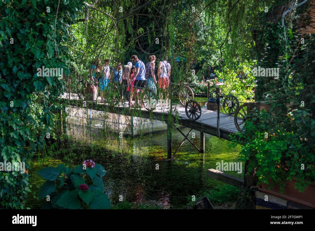 Turisti su un ponte di legno in una fitta vegetazione Foto Stock
