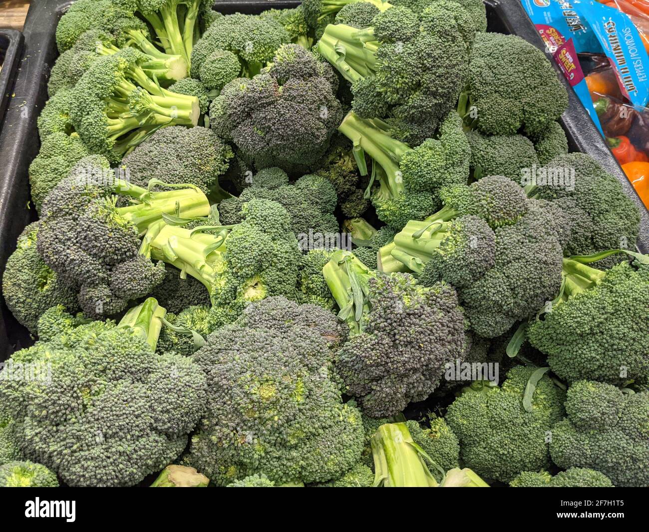Vari Broccoli disponibili per l'acquisto Foto Stock