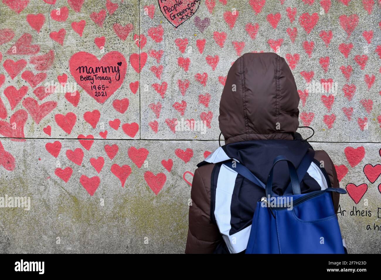 Il National Covid Memorial Wall, circa 130,000 cuori sono stati dipinti su una sezione di un chilometro di muro di fronte alle Camere del Parlamento come un memoriale ai cari che sono morti durante il Coronavirus Pandemic. St Thomas' Hospital, Westminster, Londra. REGNO UNITO Foto Stock