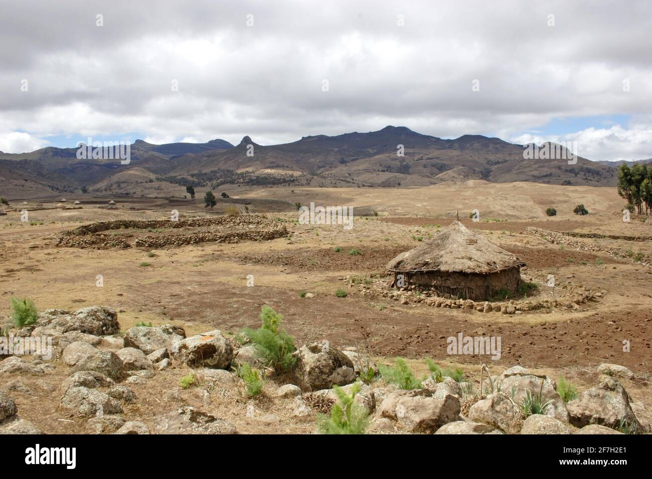 Casa rotonda tradizionale e deposito sul pendio di montagna Bale Mountains, Etiopia Aprile Foto Stock
