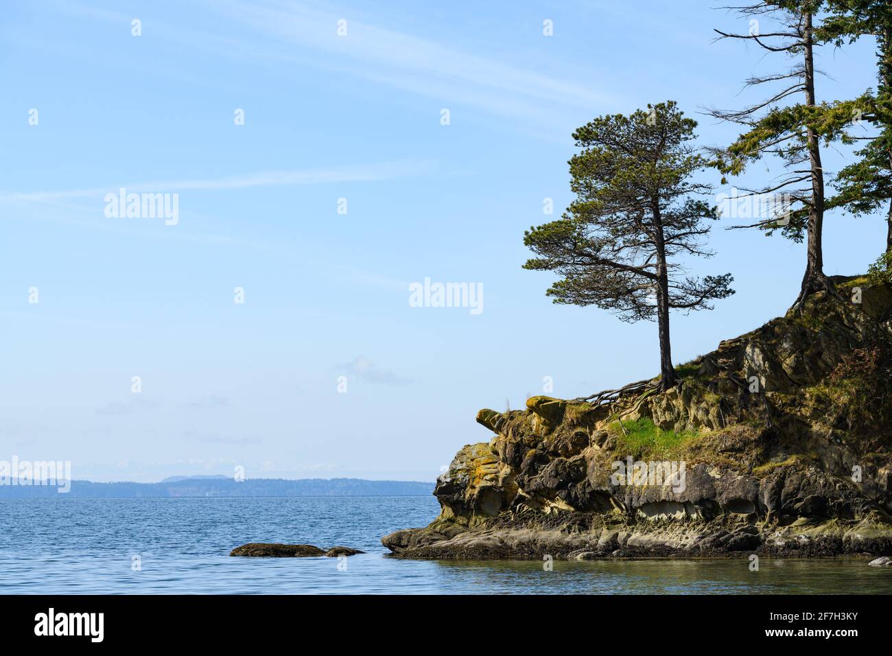 Vista dell'orizzonte dal Larrabee state Park nella parte occidentale di Washington con alberi sulla spit e vista dell'orizzonte Foto Stock