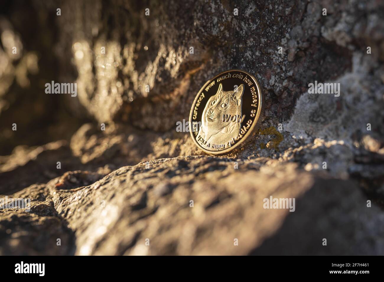 Primo piano di Dogecoin con il cane Shiba Inu su una pietra all'aperto con luce tramonto morbida su rocce sfondo con spazio di copia. Singolo metallo fisico oro shin Foto Stock