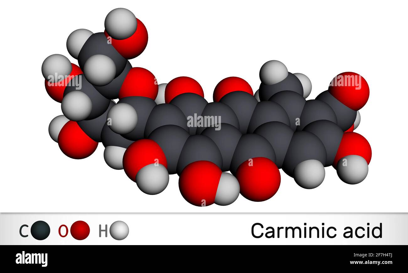 Molecola di acido carminico. È materia, idrossiantrapurina glucosidale rossa. сoloring È usato in alimenti, prodotti farmaceutici. Modello molecolare. Rendering 3D. Foto Stock