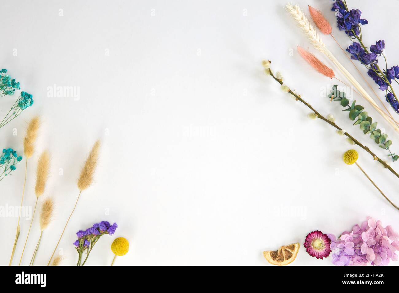 Fresco bight primavera asciugato Fiore cornice isolato su sfondo bianco con spazio copia, romantico, estate moderno concetto, piatto, vista dall'alto Foto Stock