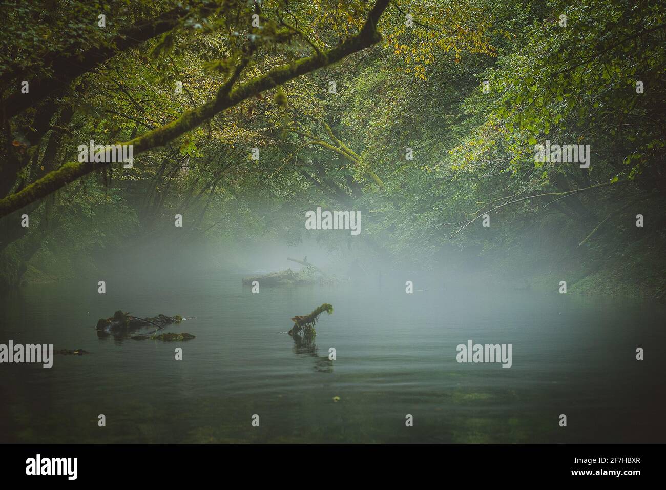 Acqua tranquilla con l'albero caduto in esso in un pomeriggio freddo e pazzo. Concetto di natura fredda e ancora con legno in decadimento in acqua. Foto Stock