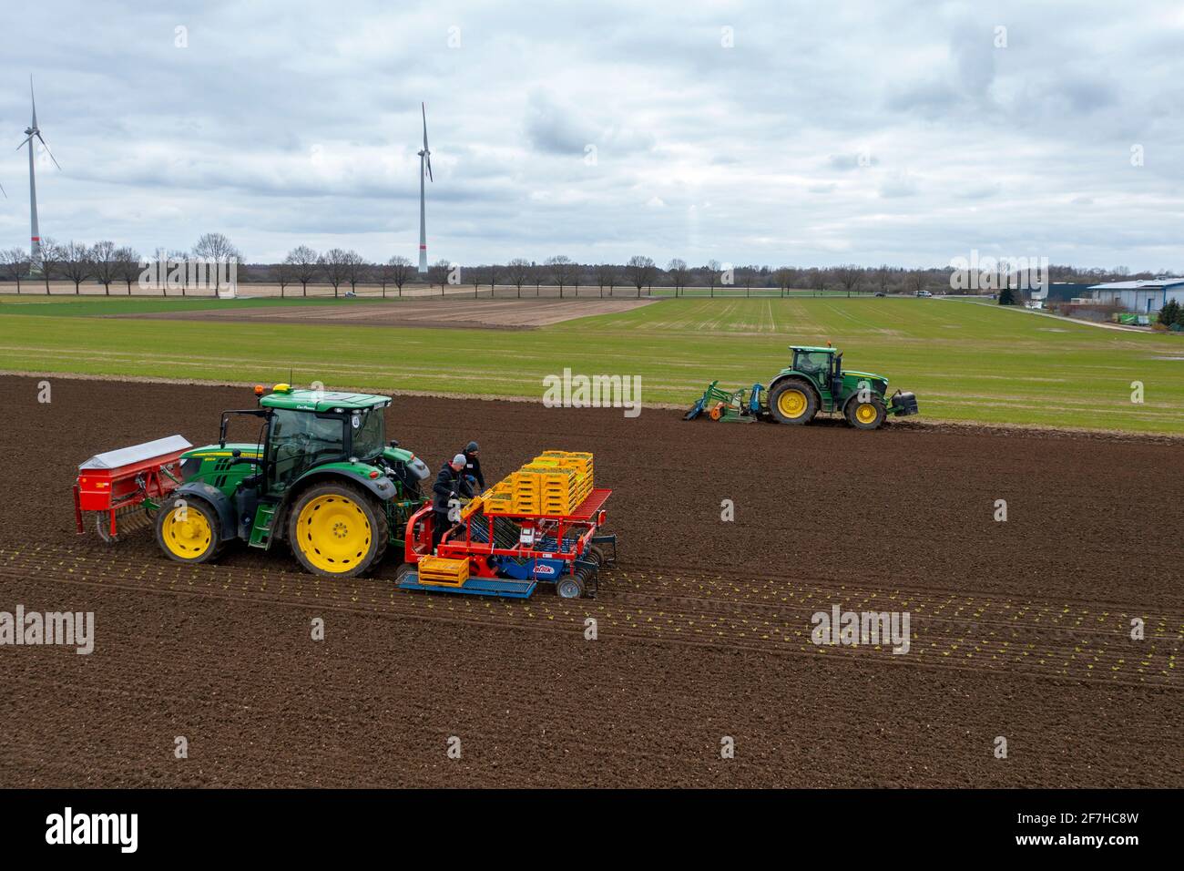Le piante di lattuga sono piantate con una piantatrice, trattore con erpice di potere prepara il suolo, agricoltura, molla, Foto Stock