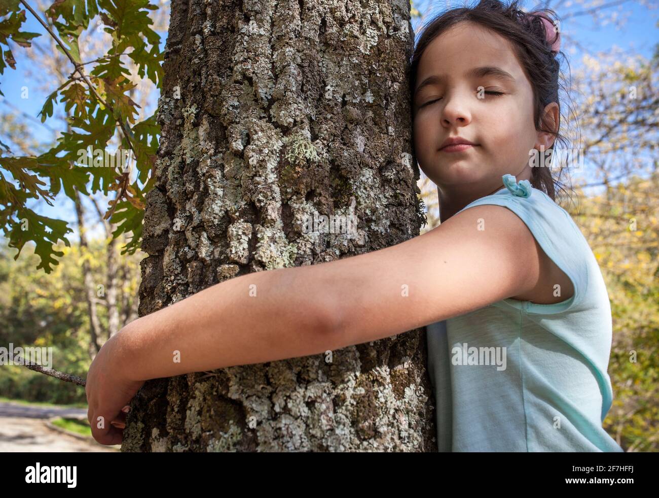 La bambina abbraccia il tronco dell'albero. I bambini amano il concetto di natura Foto Stock