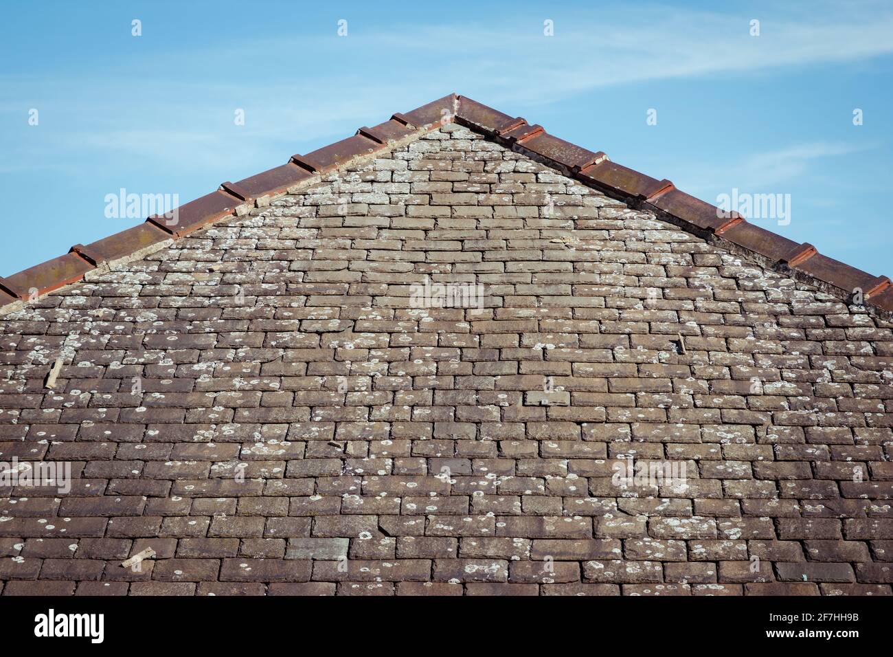 Un triangolo o estremità del tetto dell'anca che mostra la cresta, il mortaio e il lichen sulle vecchie piastrelle di ardesia di pietra tradizionali danneggiate Foto Stock