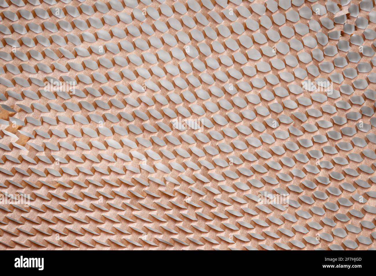 Carta a nido d'ape le celle geometriche creano l'immagine della carta Foto Stock